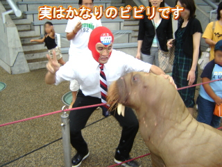 ӤӤ.jpg