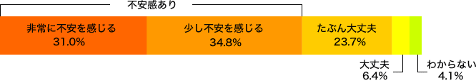 平成18年度　不安層74.1%　不安層が増えています。