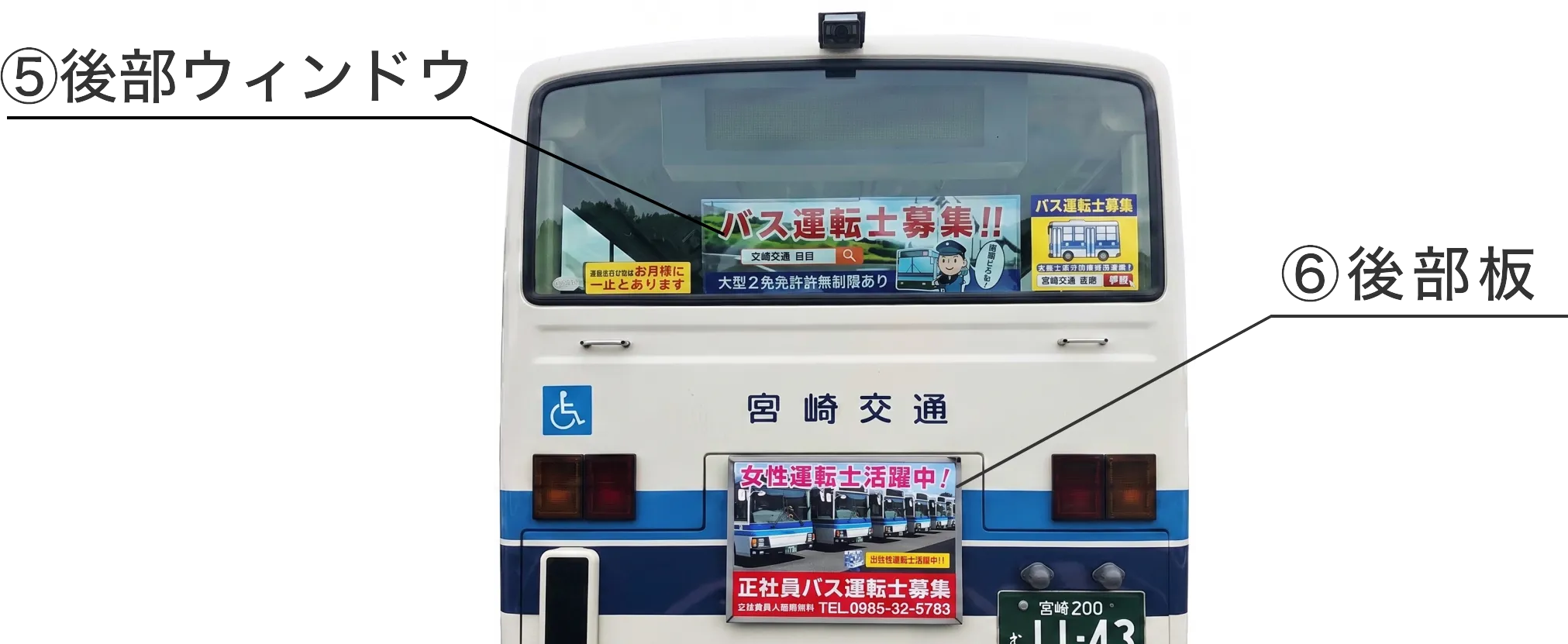 後部ウィンドウ/後部板