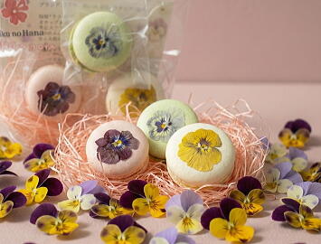 花咲くマカロン