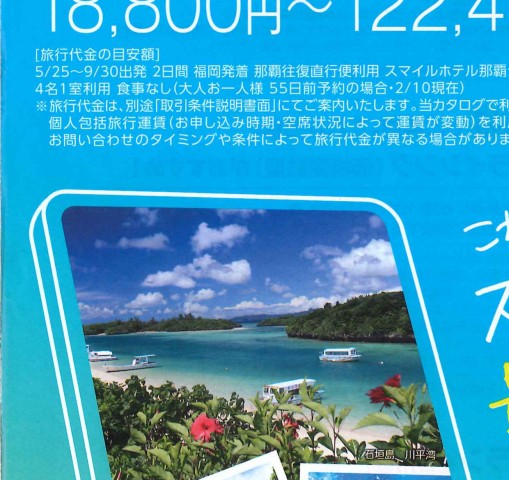 ANA宮崎-沖縄 格安航空券＋ホテル（宮交観光）2020年春夏版